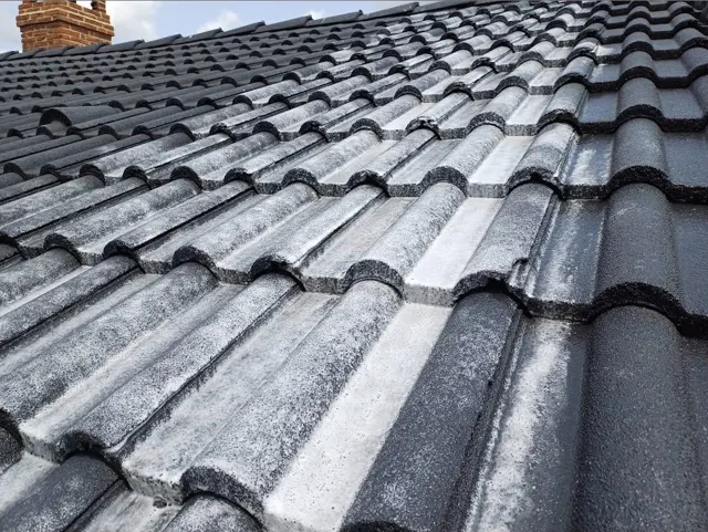 Toiture en tuiles béton foncées après application d’un traitement anti-mousse par TTMT